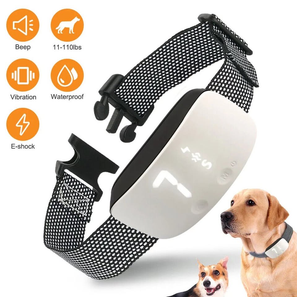 Dog Training Collar Automatic
