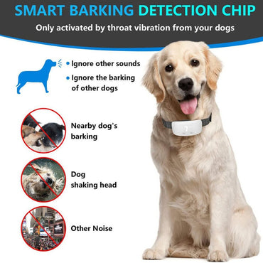Dog Training Collar Automatic