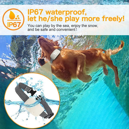 Dog Training Collar Automatic