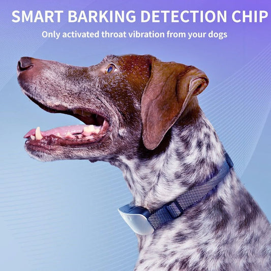 Dog Training Collar Automatic