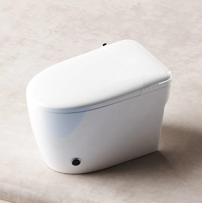 Smart Toilet, with Warm Water Dual Auto with Remote Flush, Self Clean